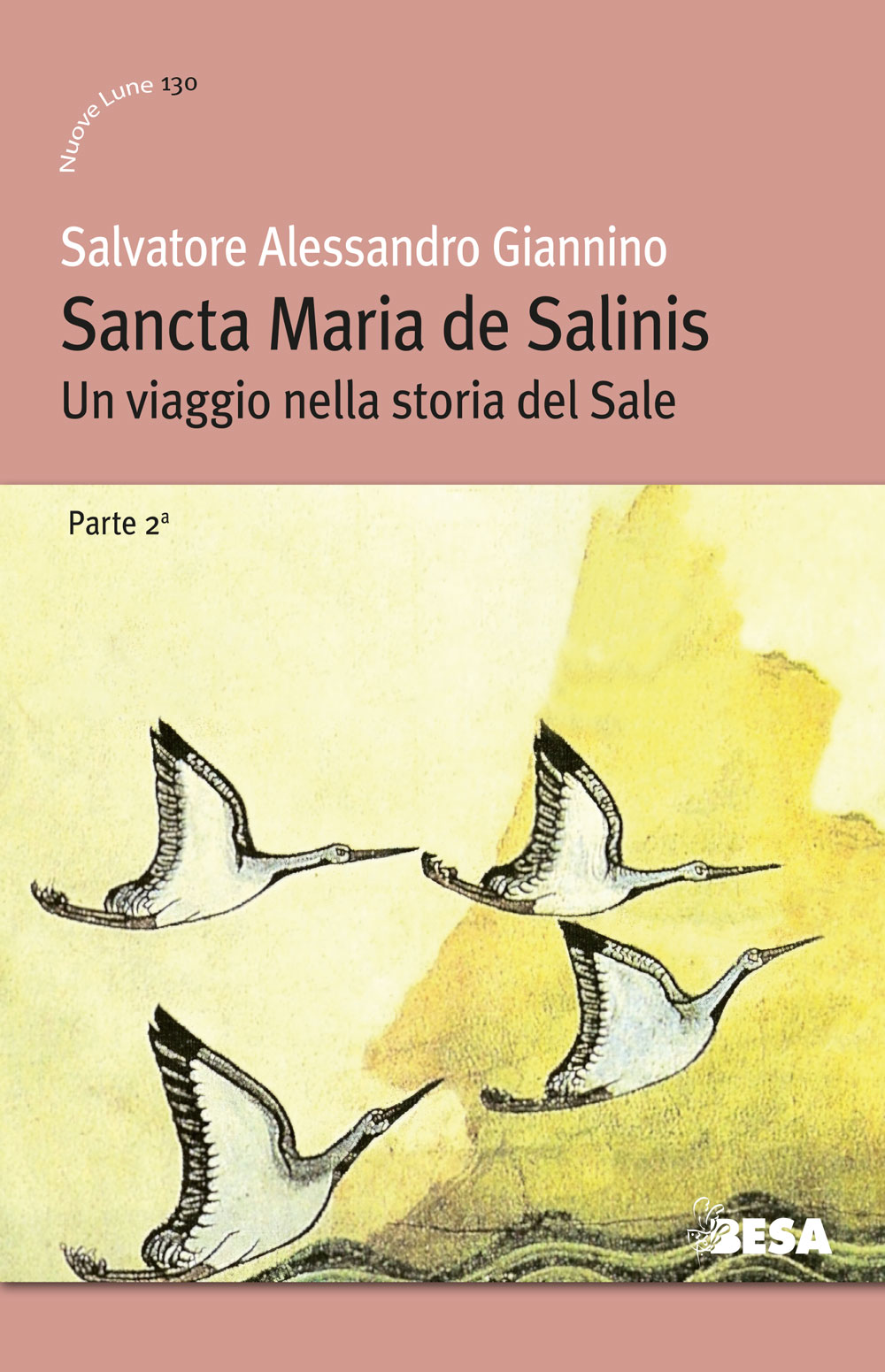 Sancta Maria de Salinis parte 2